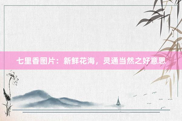 七里香图片：新鲜花海，灵通当然之好意思