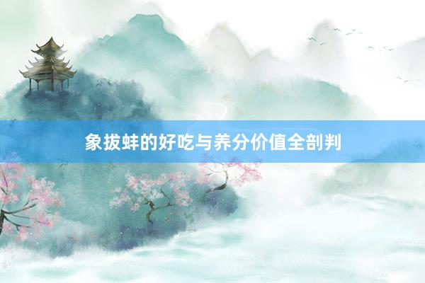 象拔蚌的好吃与养分价值全剖判
